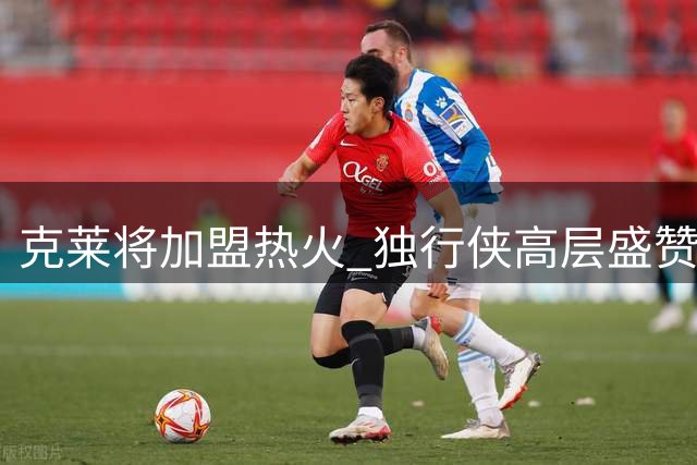克莱将加盟热火 独行侠高层盛赞其职业精神