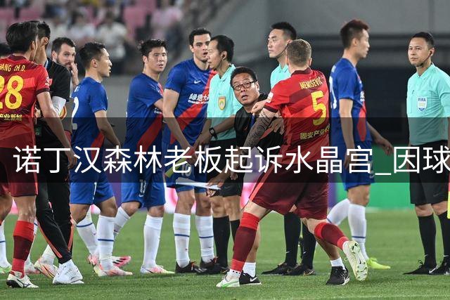 诺丁汉森林老板起诉水晶宫 因球迷争议横幅涉诽谤