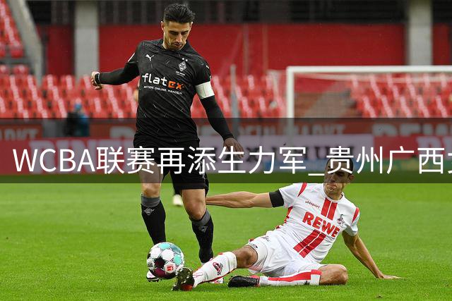 WCBA联赛再添生力军 贵州广西女篮获准入围